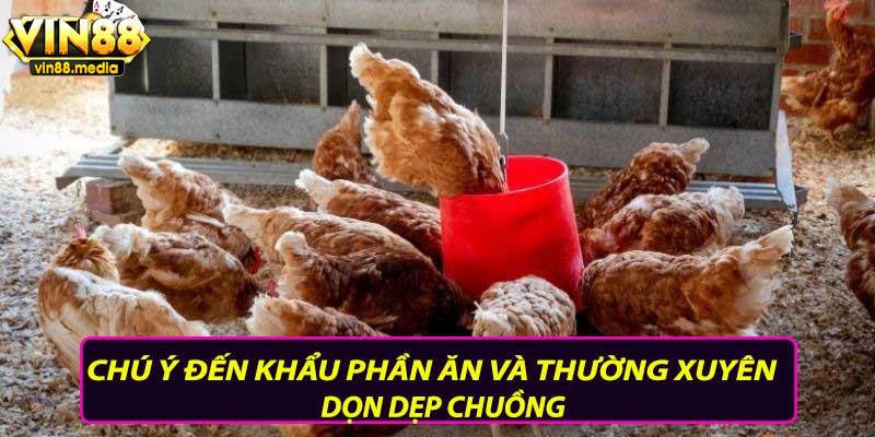 Chú ý đến khẩu phần ăn và thường xuyên dọn dẹp chuồng